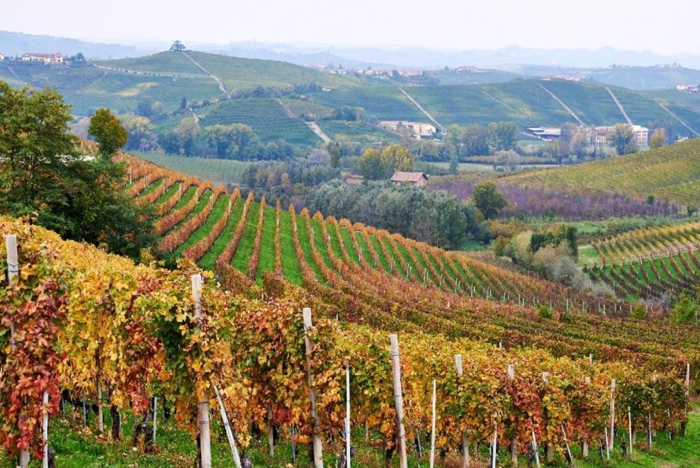 Ca' Fola Alba (Piedmont)